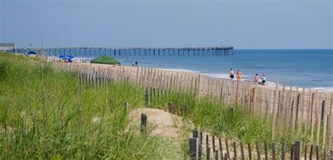 Kill Devil Hills Camping: Best Sites & Reservations