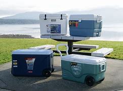 Image result for Camping Ice Coolers