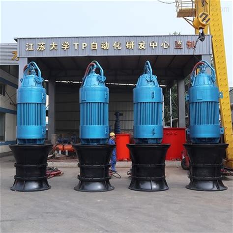 发货照片-潜水轴流泵如何选型-天津 电气安装-德能泵业（天津）有限公司