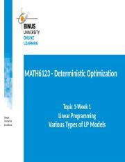 LP Model 的图像结果