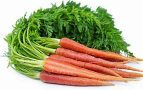 Image result for Baby Bellies Carrot Puffs