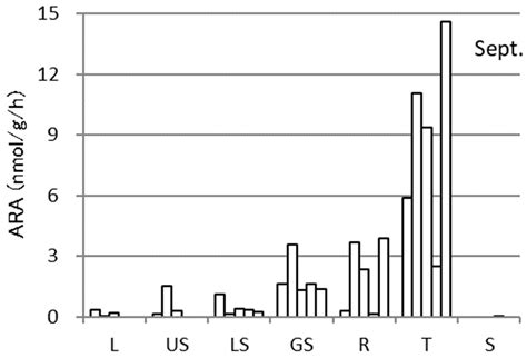 Changes in Acetylene Reduction Activities and nifH Genes Associated ...