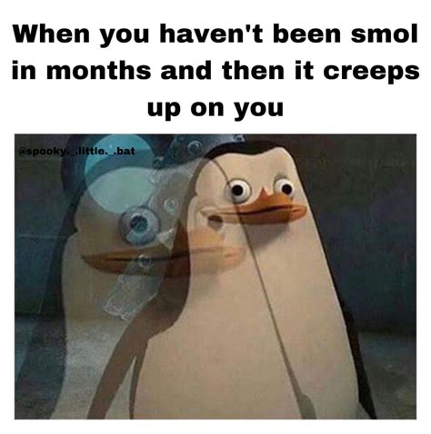 Image result for Multifandom Agere