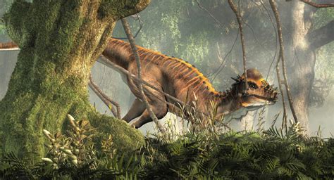 Meet the Micropachycephalosaurus — The Dinosaur With the Longest Name ...