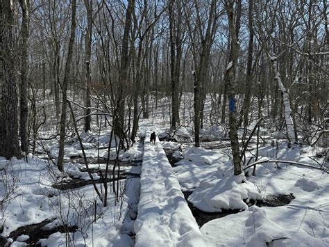 Miller Farm Preserve - Explore Connecticut