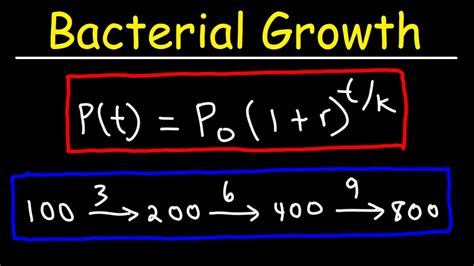 Image result for Bacteria Math Compound Continuously Equations