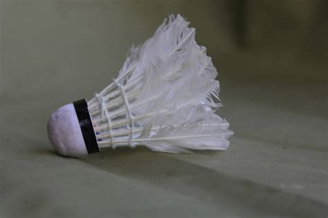 Badminton Net Shuttle Cock 的图像结果