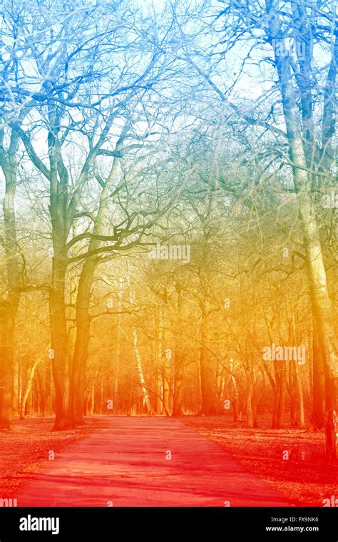 Beautiful Spring Forest 的图像结果