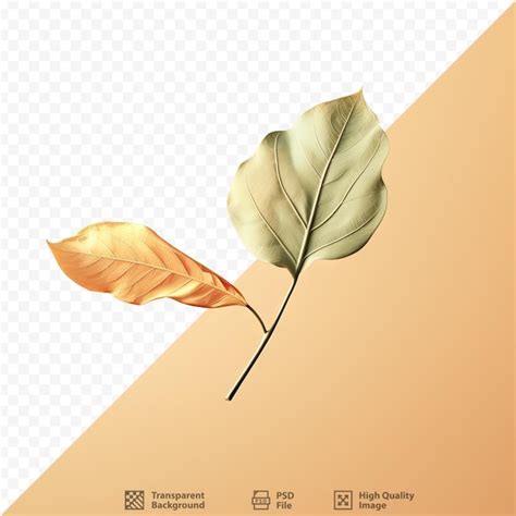 Image result for Paper Leaf