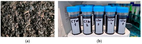 Preparation, Characterization, and Testing of Compost Tea Derived from ...