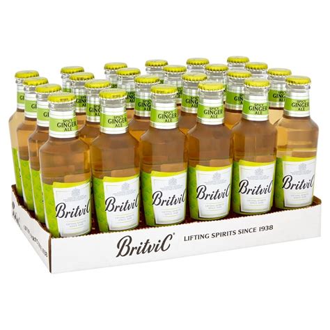 Britvic Spicy Ginger Ale Ginger Flavour Carbonated Water, 6.76 fl oz ...