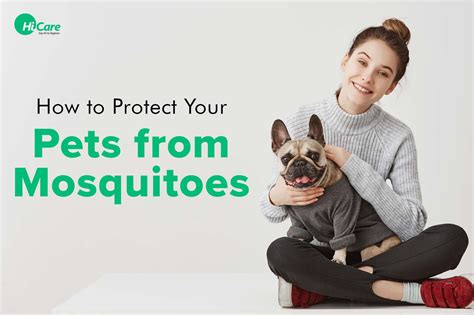 Top 10 Mosquito Prevention Tips to Protect Your Pets from Them – HiCare ...