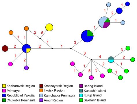 Taxonomy and Melanism Patterns of Freshwater Leeches in the Genus Glossiphonia (Hirudinea ...