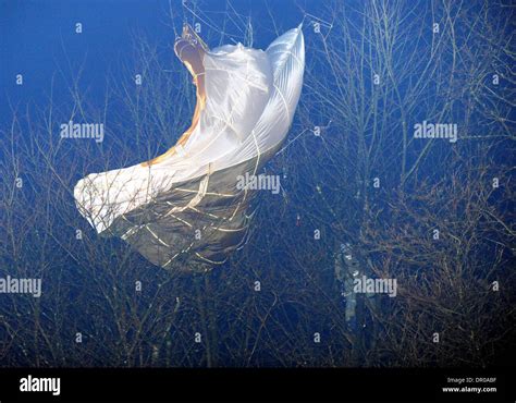 Pilot Parachuting 的图像结果