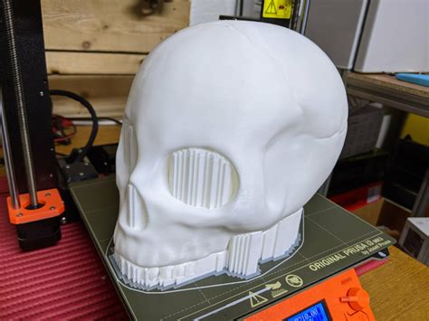 Free STL file SKULL・Model to download and 3D print・Cults