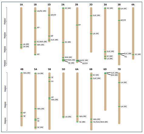 A Gwas Approach to Identify Novel Major-Effect Qtls for End-Use Quality ...
