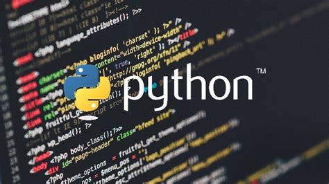 Image result for Python vs Beauty