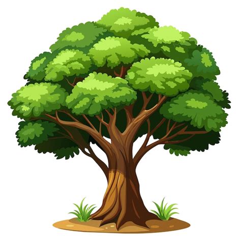 Realistic tree vector illustration isolated on white screen | Premium ...