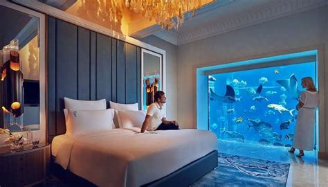 Atlantis In Dubai: A Detailed Guide For Your Next Stay At Atlantis The Palm