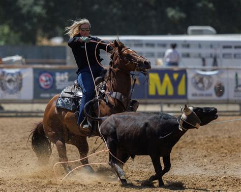 Image result for Girls Team Roping