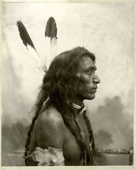 Luminous Eyes, Ancient Ties: Unveiling the Rarity of Native Americans with Light Eyes