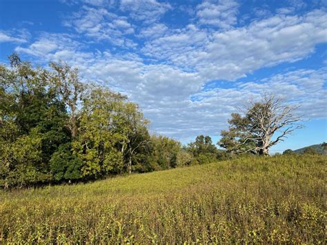 Sky Meadows State Park completes upgrades to Lost Mountain Trail