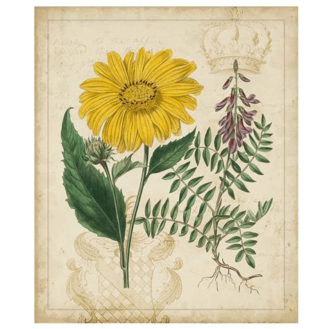 Botanical Repertoire III – The Living Influence