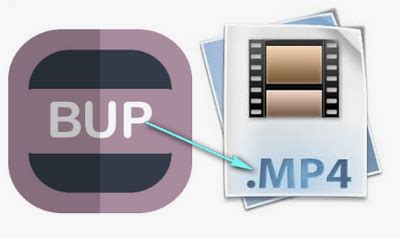 BUP File Player 的图像结果
