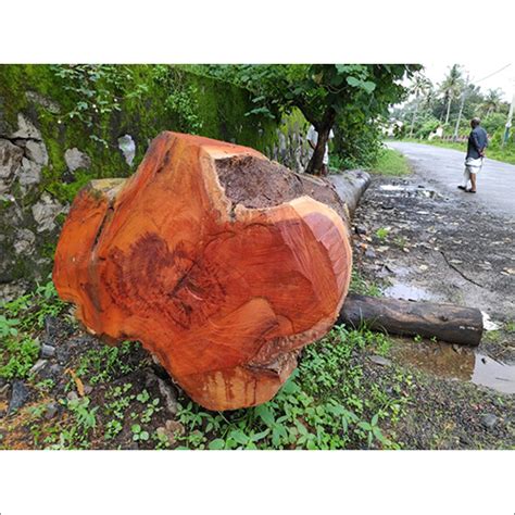 Hardwood Log Manufacturer,Solid Wood Log Supplier,Wholesaler,Trader