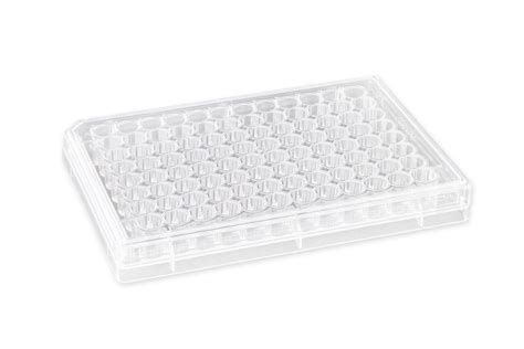 7369 | Corning® HTS Transwell®-96 Permeable Support with 0.4 µm PET ...