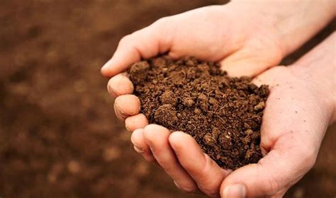 Image result for Soil Testing for Load Capacity