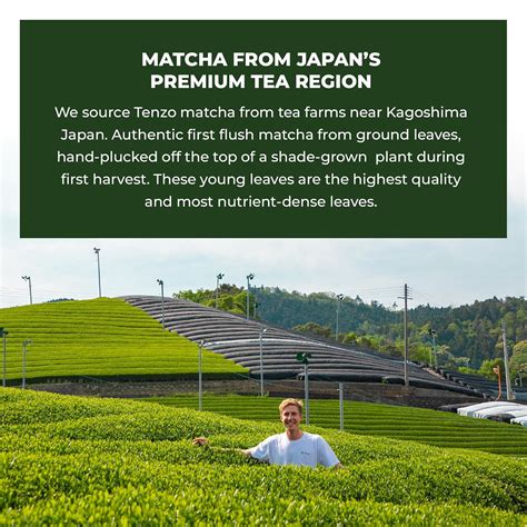 Poudre de thé vert Tenzo Matcha BetterBoost ( 1,06 Maroc | Ubuy