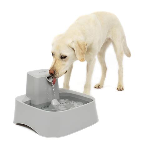 PetSafe Drinkwell 2 Gallon Dog and Cat Water Fountain, Best for Large ...