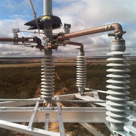 Image result for Novatech Sea Shell