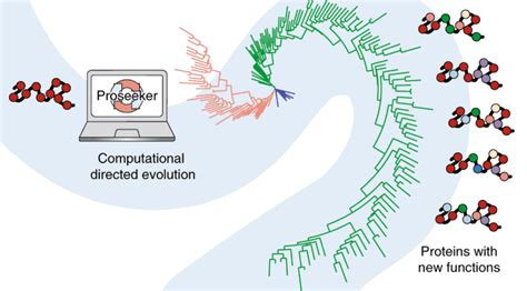 Image result for Simulating Evolution