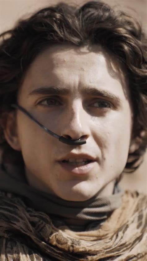 Picture of Timothee Chalamet in Dune: Part Two - timothee-chalamet ...