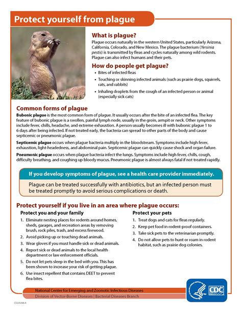 News, Information, and Events - Gila River Health Care