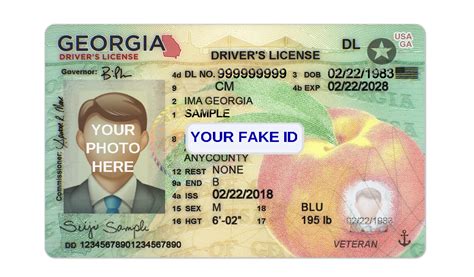 Image result for Fake Drivers License Back