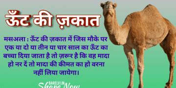 Barelvi Namaz, Roza, Zakat, Hajj, Quran, Hadees, Naat, Islamic