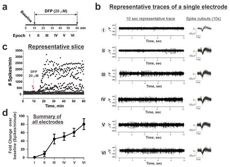The α4 Nicotinic Acetylcholine Receptor Is Necessary for the Initiation ...