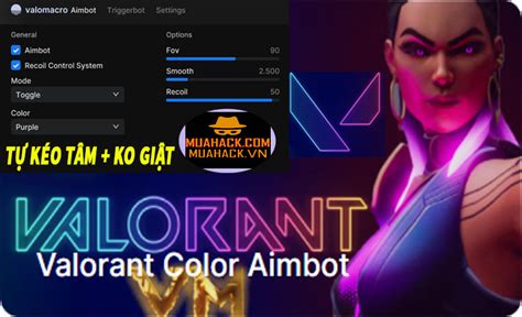 Image result for How to Use Color Aimbot