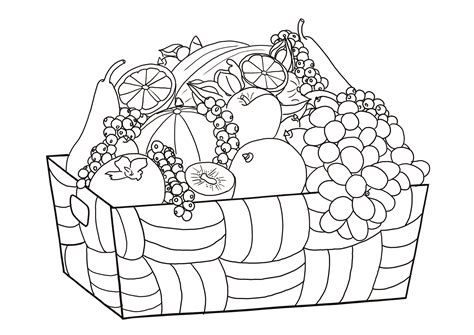 Fruits Coloring Pages Printable 的图像结果