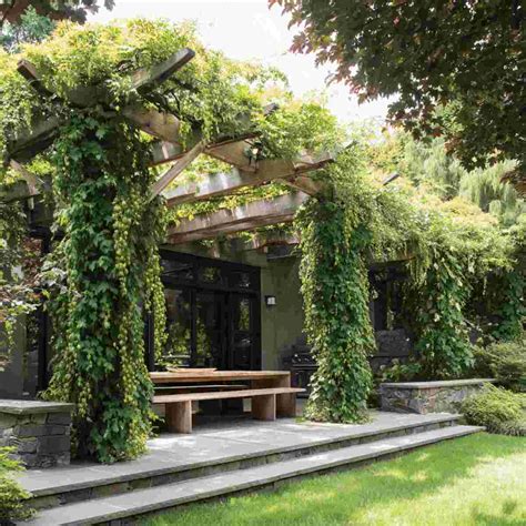 17 Magical Vine-Covered Pergolas That Will Make Your Garden Feel Like a ...