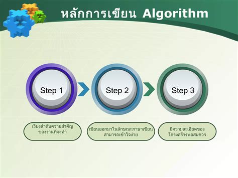 Algorithm Programming 的图像结果