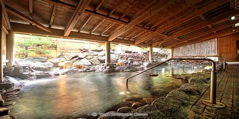 Image result for Onsen Types
