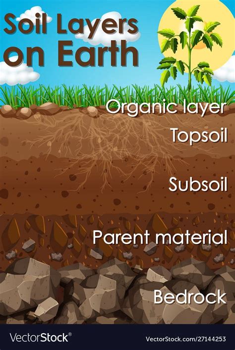 Earth Soil 的图像结果