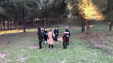 Partner Learning Examples 的图像结果