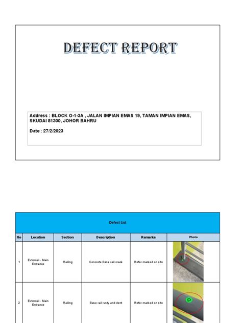 How to Report Defects 的图像结果