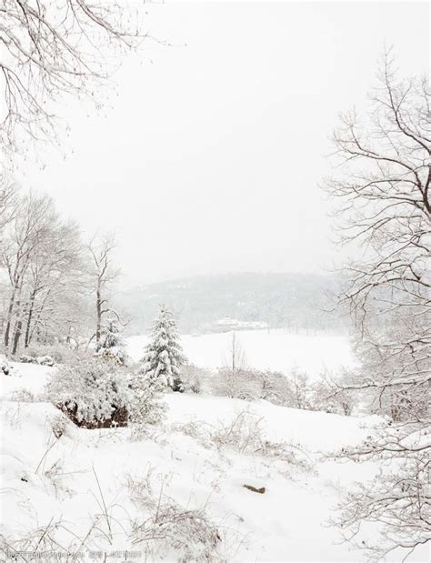 冬天立冬唯美治愈下雪雪地雪花背景插画图片-千库网