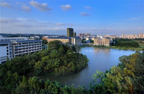 南宁职业技术学院入选国家“双高”计划名单 - 广西县域经济网